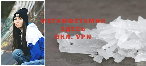 прущие грибы Протвино