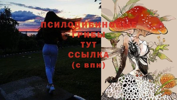 марки lsd Алексеевка