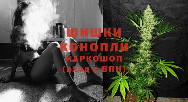 PSILOCYBIN Пролетарск