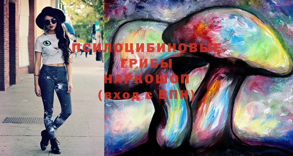 мяу мяу мука Алексин
