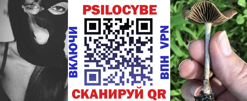 наркотики  Мегион  omg ТОР  Галлюциногенные грибы Cubensis 