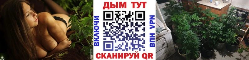 МАРИХУАНА планчик  наркошоп  Мегион 